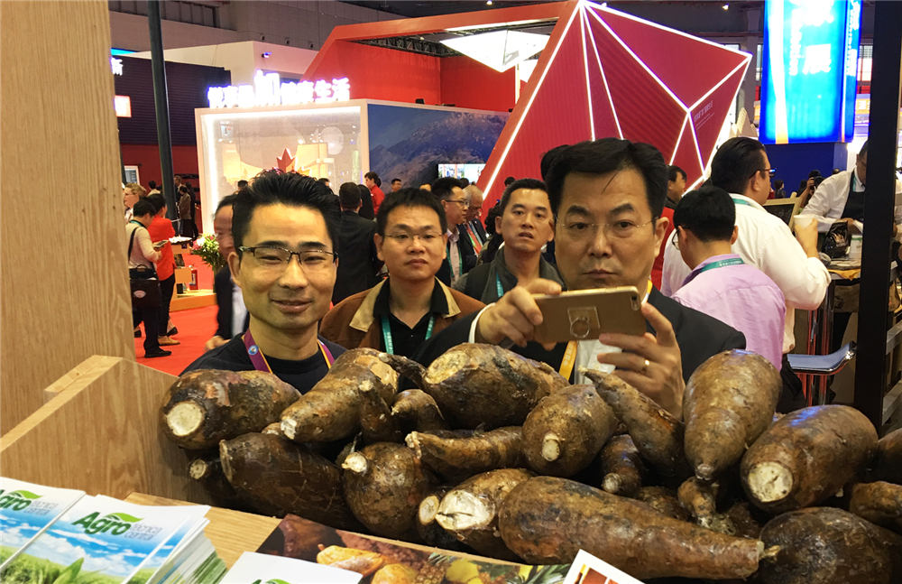多米尼加-國家館設(shè)計(jì)搭建