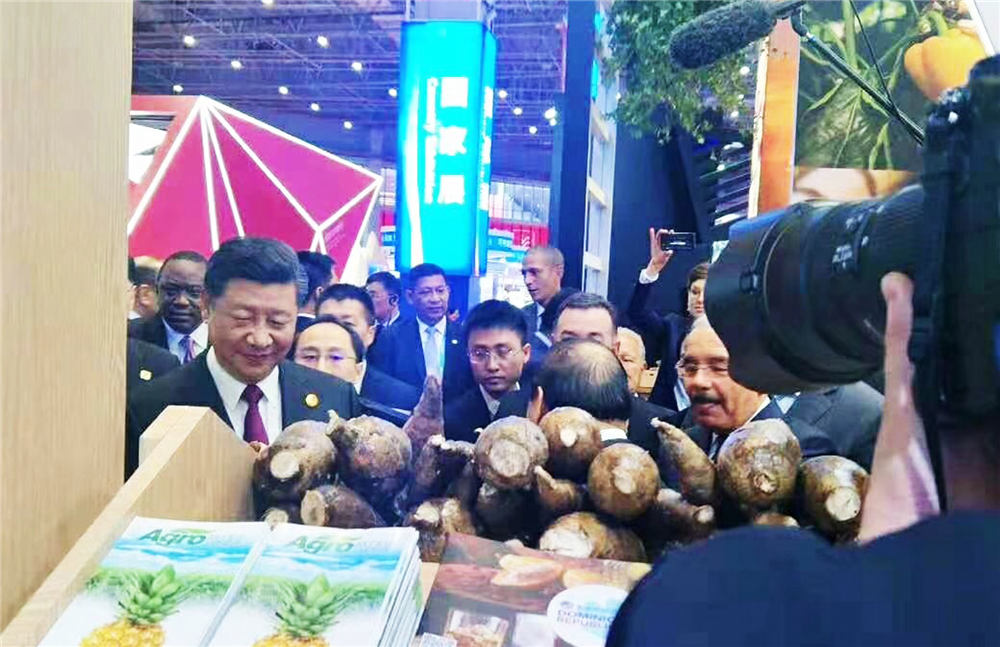 多米尼加-國家館設(shè)計(jì)搭建
